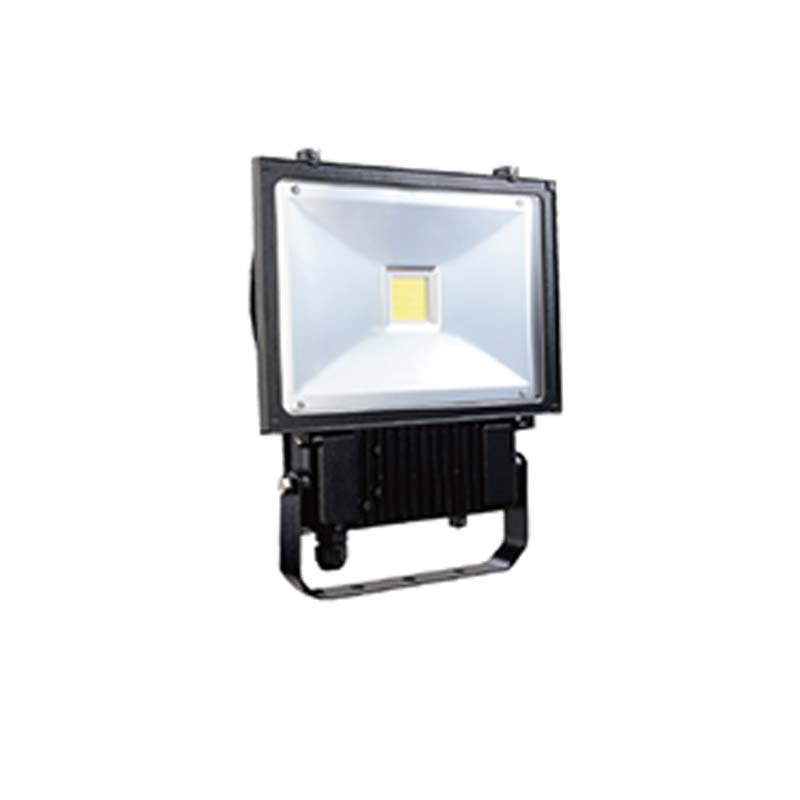 SM-303 LED Flood Light