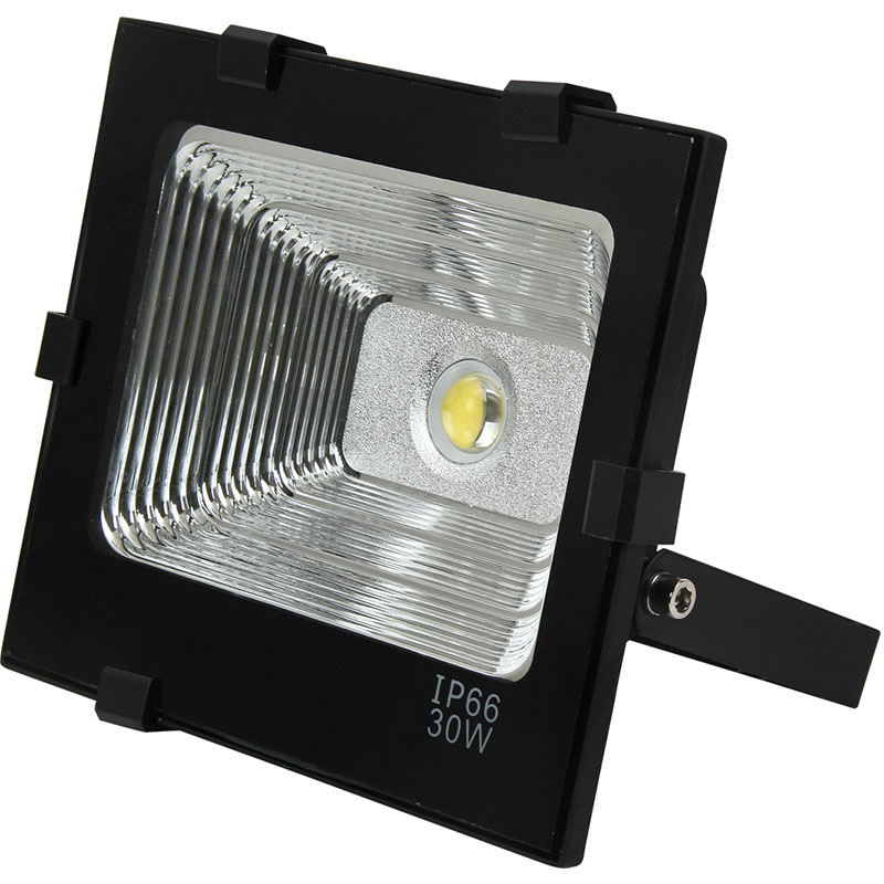 SM-TGDE1-30 COB Flood Light