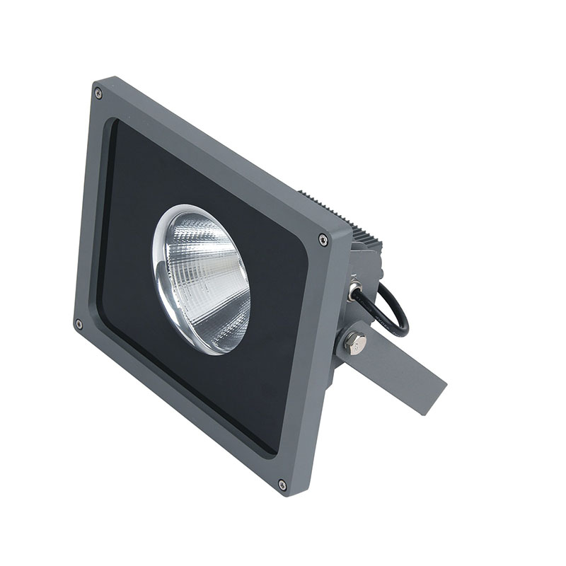 SM-TGDH1-30 COB Flood Light