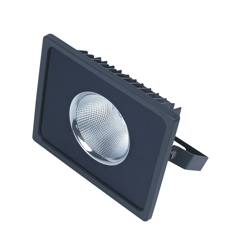 SM-TGDH1-50 COB Flood Light