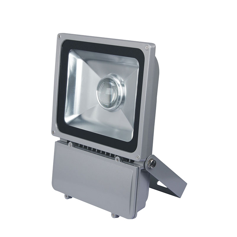 SM-TGDB2-80 Optical Lens Flood Light