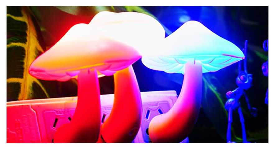 Mushroom LED Night Light