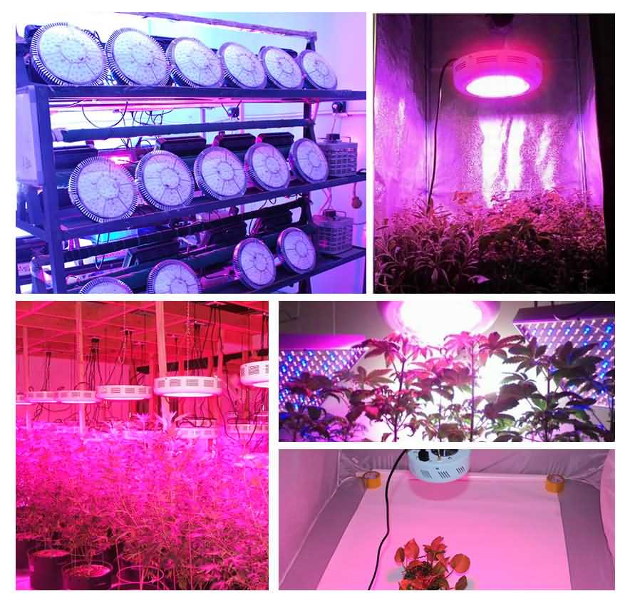 UFO Led Grow Light 90W