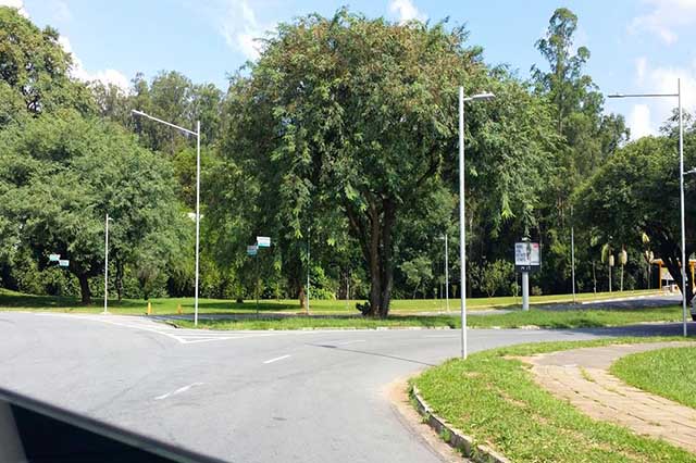 LED Street Light Project In Brazil