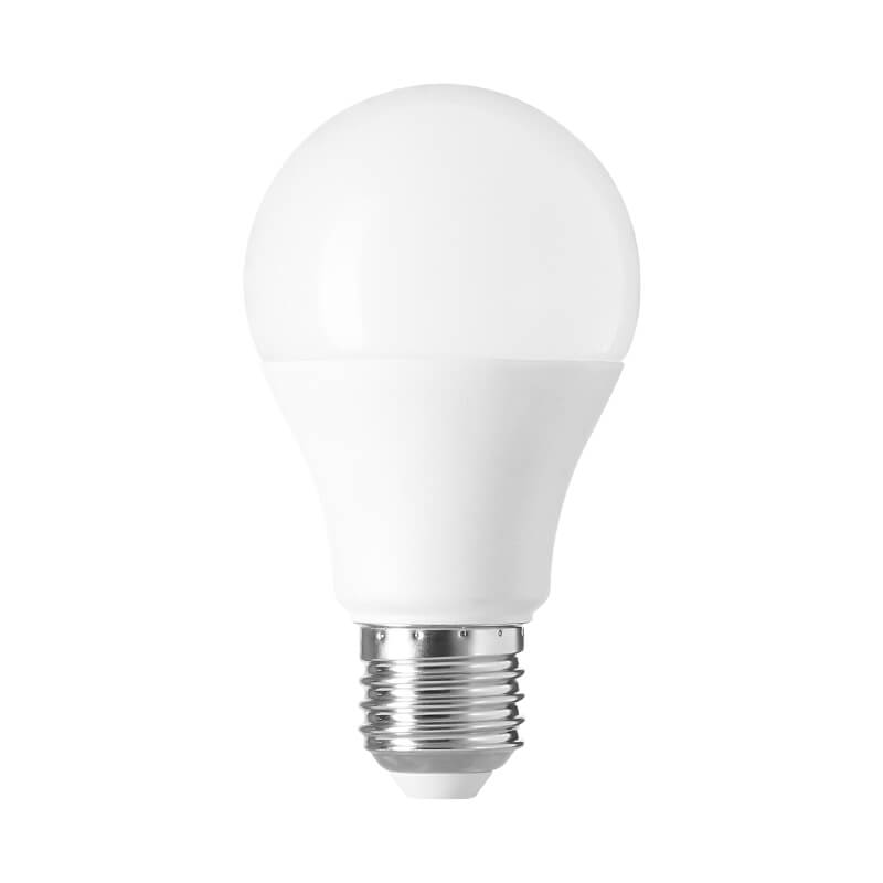 A60 LED Light Bulb