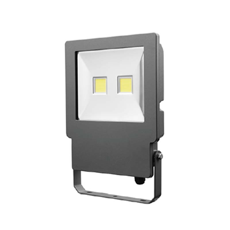 SM-301 LED Flood Light