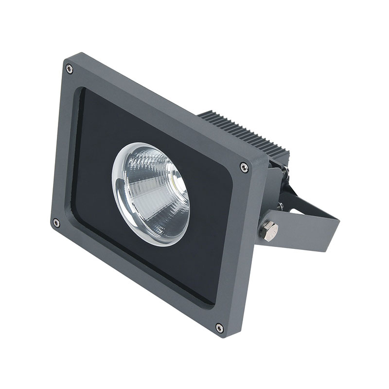 SM-TGDH1-20 COB Flood Light