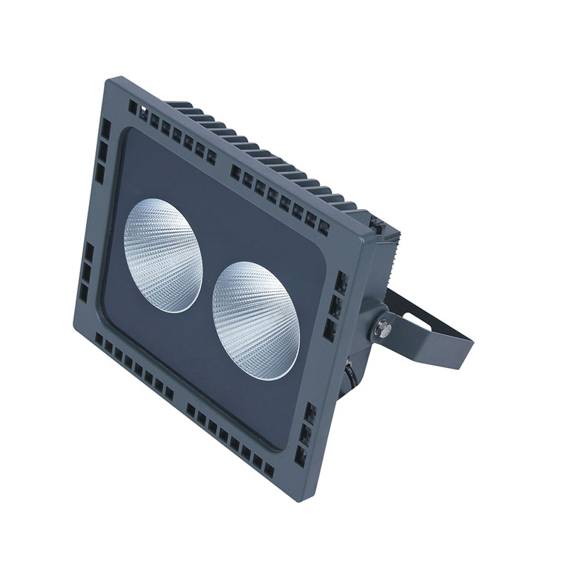 SM-TGDH1-100 COB Flood Light