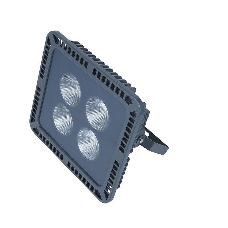 SM-TGDH1-200 COB Flood Light