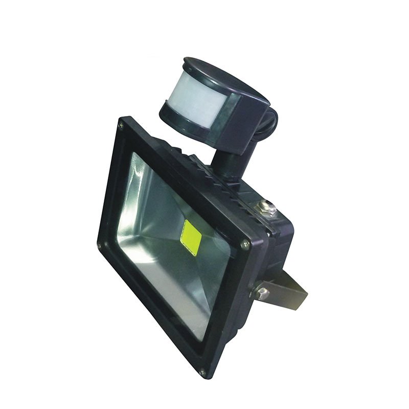 SM-TGDB4-20 Induction Flood Light