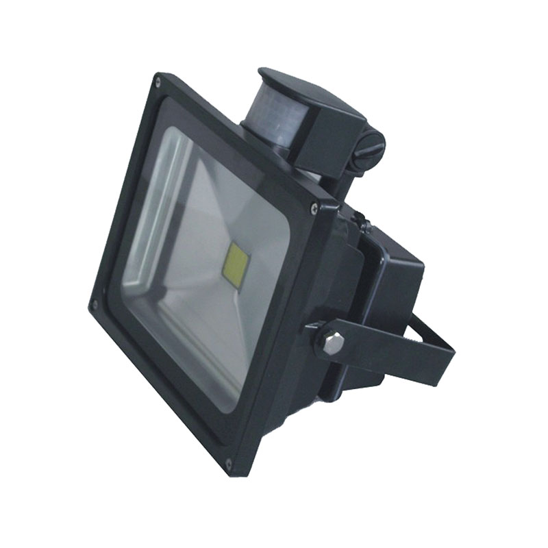 SM-TGDB4-50 Induction Flood Light