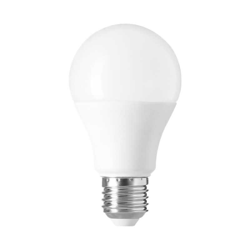 A60 LED Light Bulb