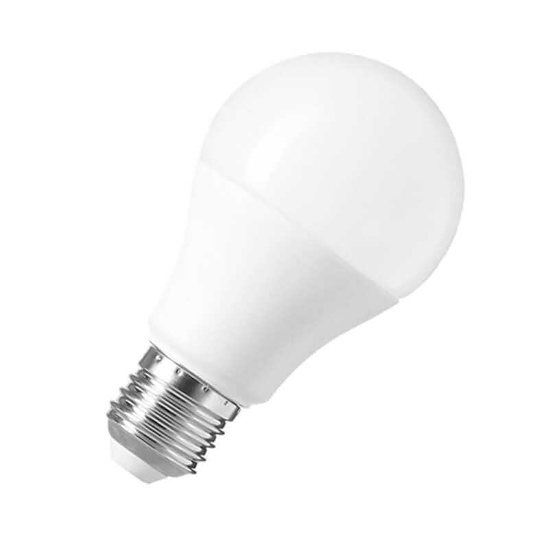 A60 LED Light Bulb