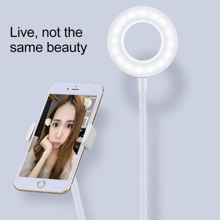 GARV 16Rechargeable Selfie Enhancing Portable Ring Light with Three Modes  Flash - GARV : Flipkart.com