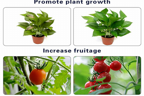 The influence of LED grow Lighting in light to grow Indoor Plants