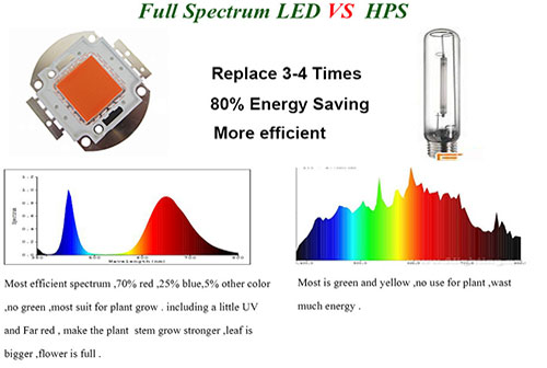 LED Grow Lights vs HPS Grow Lights