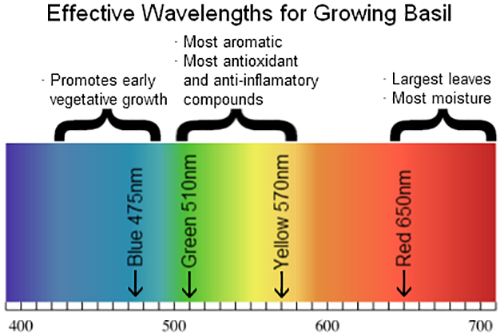 Before choosing LED grow lights,you should know